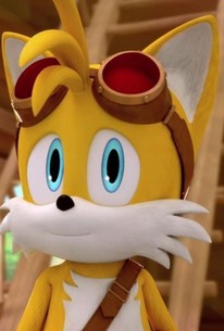 tails the fox smiling