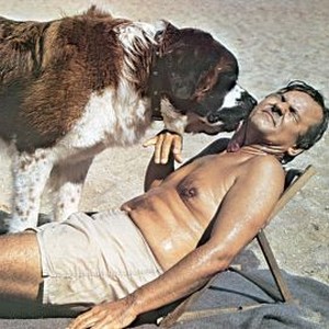 Superdad (1974) photo 4