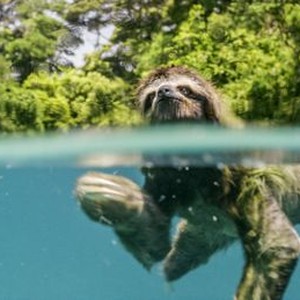 "Planet Earth: One Amazing Day photo 9"