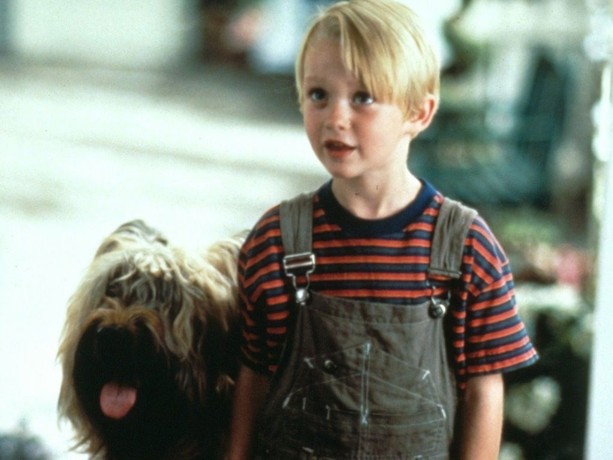 Dennis the Menace | Rotten Tomatoes
