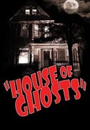 House of Ghosts poster image