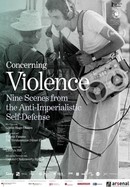 Concerning Violence poster image