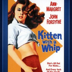 Kitten With a Whip (1964) photo 11