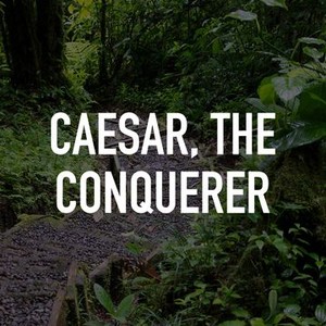 Caesar, The Conquerer photo 2