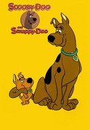 The New Scooby and Scrappy-Doo Show poster image