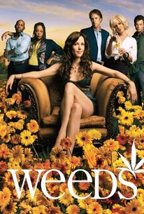 Weeds: Season 2 poster image