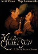 A Year of the Quiet Sun poster image