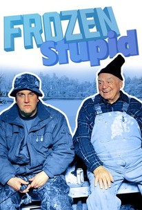 Poster for Frozen Stupid