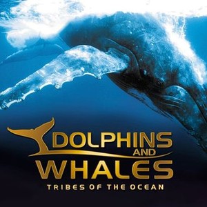 Dolphins and Whales: Tribes of the Ocean photo 6