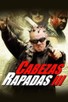 Poster for
