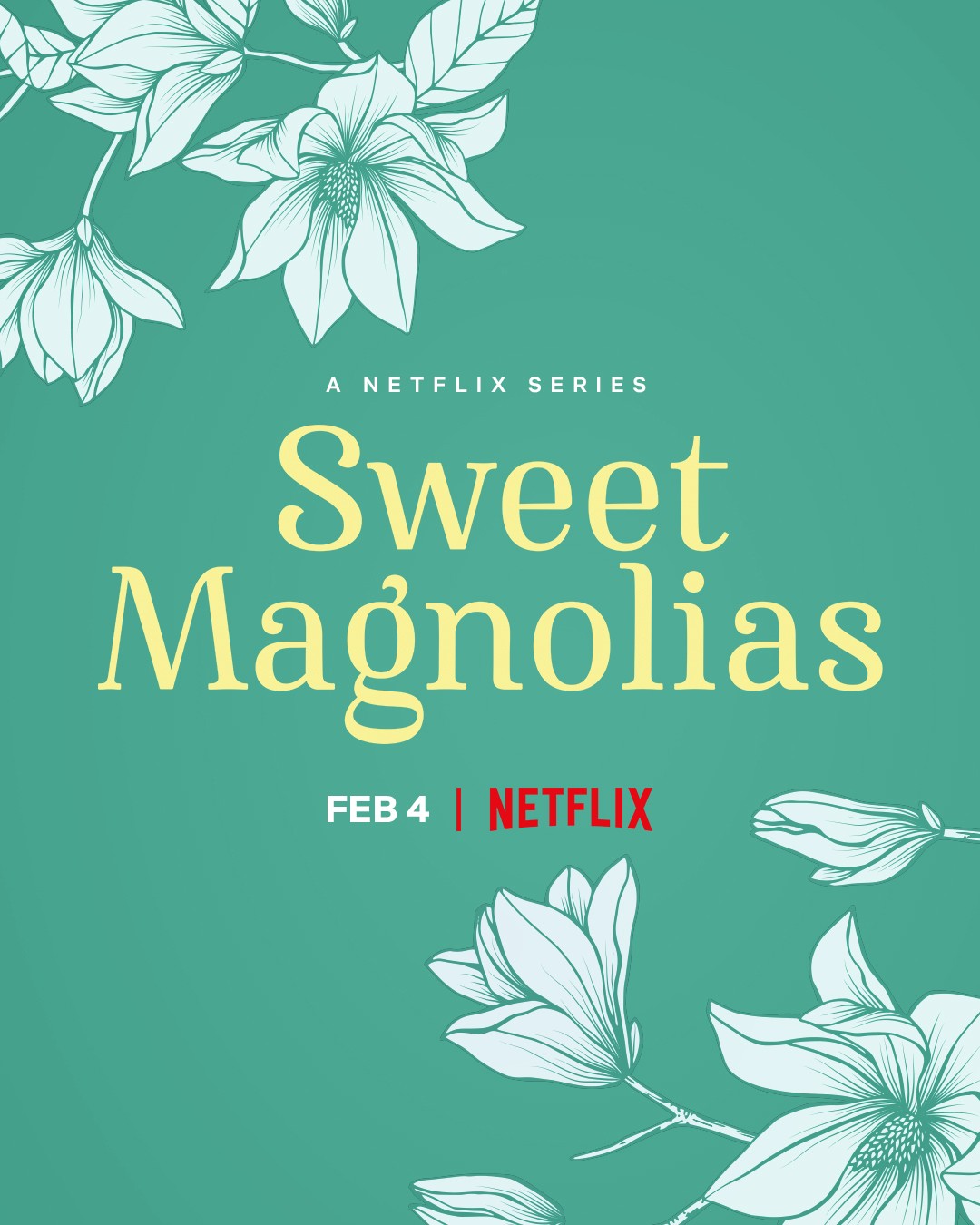 steel magnolias 2022 dvd cover