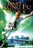 The Last Kung Fu Monk poster image