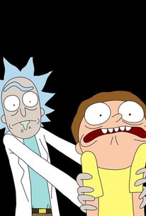 dailymotion rick and morty season 2 episode 9