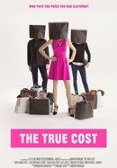 The True Cost poster image