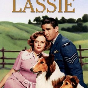 Son of Lassie photo 3