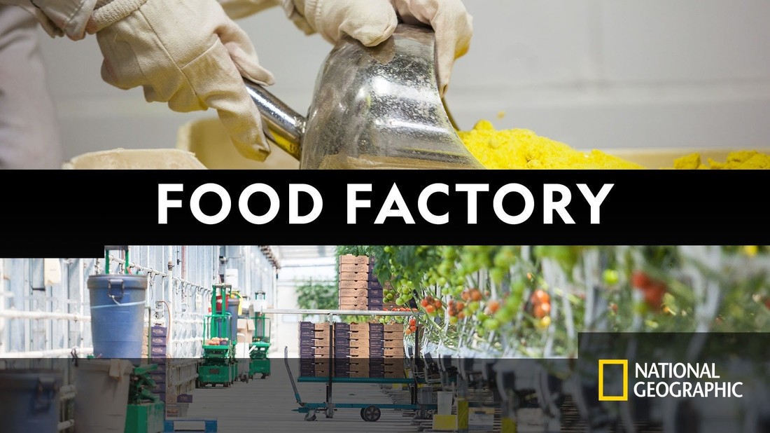 Food factory 2025 usa watch online