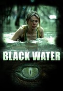 Black Water poster image