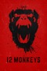 Poster for 