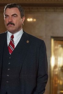 Blue Bloods Season 3 Episode 13 Rotten Tomatoes