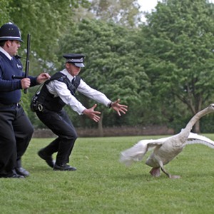 A scene from the film "Hot Fuzz." photo 3