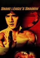 Snake in the Eagle's Shadow poster image
