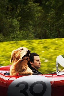 The art of racing in the rain fmovies 2025