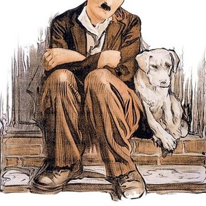 A dog's life rotten tomatoes online