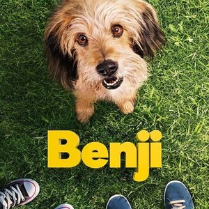 Benji sales 2018 dog