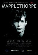 Mapplethorpe: Look at the Pictures poster image