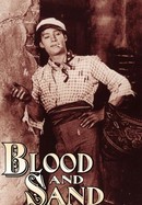 Blood and Sand poster image