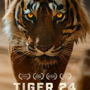 Tiger 24 - Rotten Tomatoes