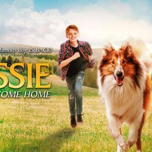 Dog Food Lessons from a Lassie Film