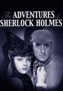 The Adventures of Sherlock Holmes poster image