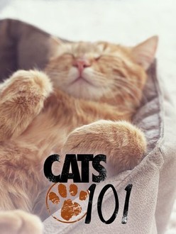 Cats 101 2025 egyptian mau