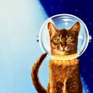 The Cat From Outer Space photo 4