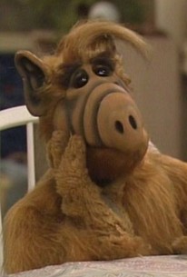 ALF: Season 3, Episode 7 | Rotten Tomatoes