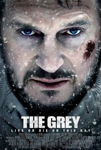 Poster for The Grey