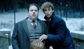 Fantastic Beasts and Where to Find Them: Comic-Con Trailer