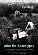 After the Apocalypse poster image