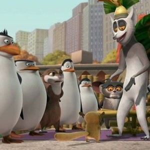 The Penguins of Madagascar: Season 1, Episode 1 - Rotten Tomatoes