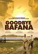 Goodbye Bafana poster image