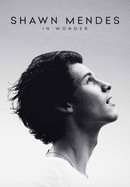 Shawn Mendes: In Wonder poster image