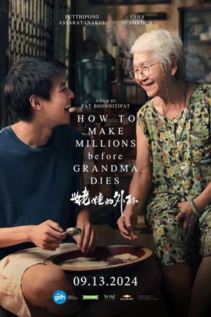 How to Make Millions Before Grandma Dies poster