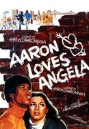Aaron Loves Angela poster image