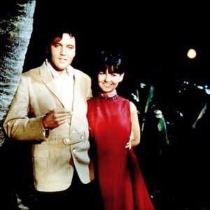CLAMBAKE, from left: Elvis Presley, Shelley Fabares, 1967, CMBK 001 L, Photo by:  (34244)