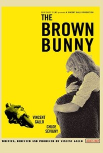 The Brown Bunny | Rotten Tomatoes