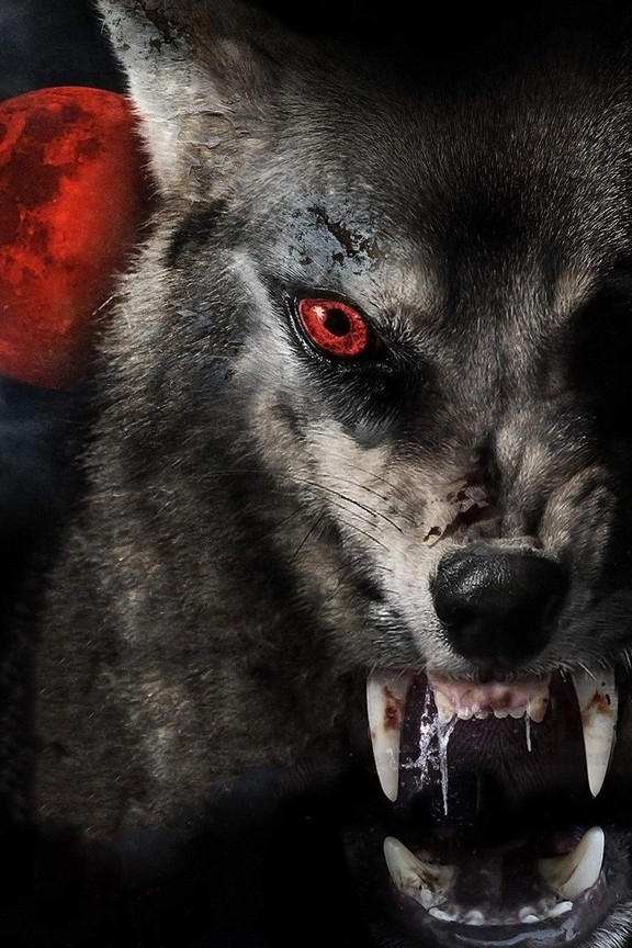 Lycan Colony Pictures - Rotten Tomatoes
