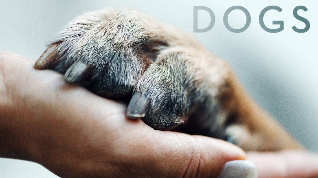 Dogs cheap 2018 netflix