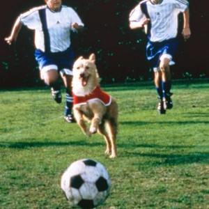 Soccer Dog: The Movie (1999) photo 6