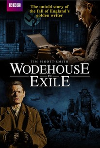 Wodehouse in Exile (Wodehouse In Exile)
